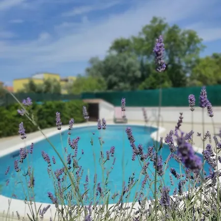 Medulin: Blue Oasis For A Perfect Vacation Apartment Medulin